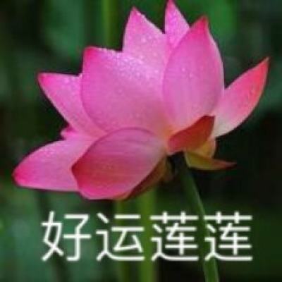 延庆举办纪念“爱我中华修我长城”社会赞助活动40周年巡展